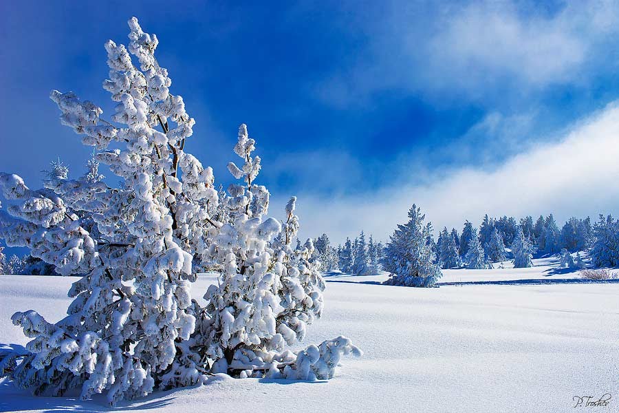 vitosha6